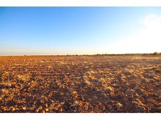 Garfield, County, Oklahoma farmland - LAND AUCTION - 160+/- ACRES OFFERED IN 2 TRACTS IN GARFIELD COUNTY, OKLAHOMA